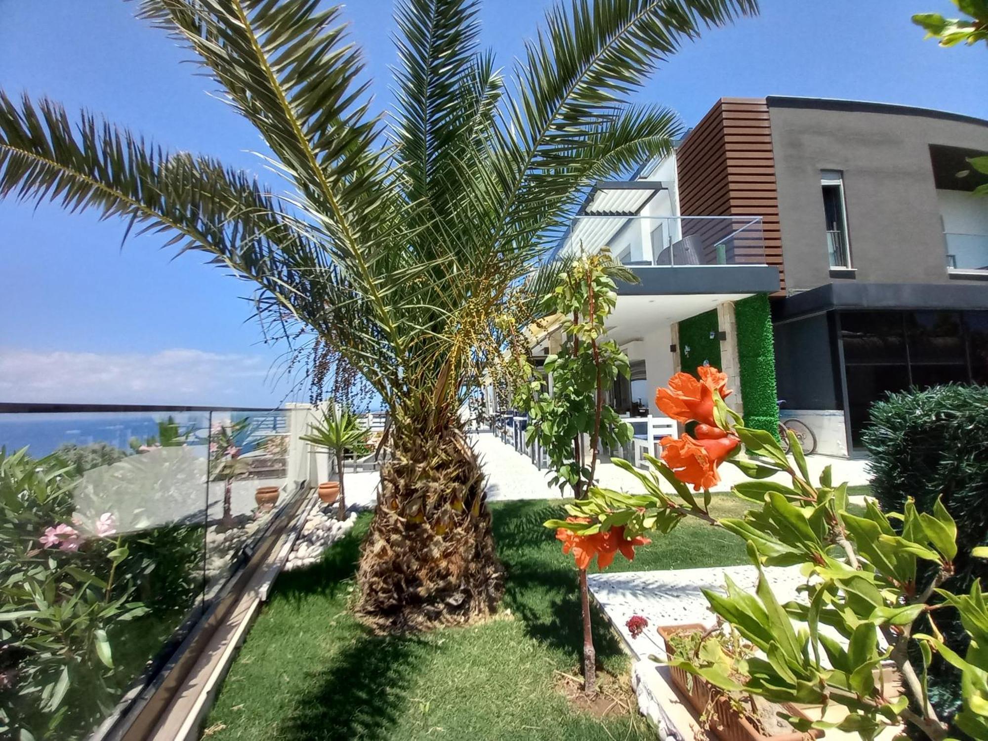 Mavi Panorama Villa Чешме Екстер'єр фото